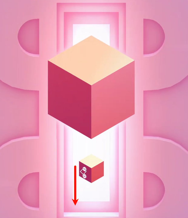 Natural bridge formed by thick roots spanning across the water